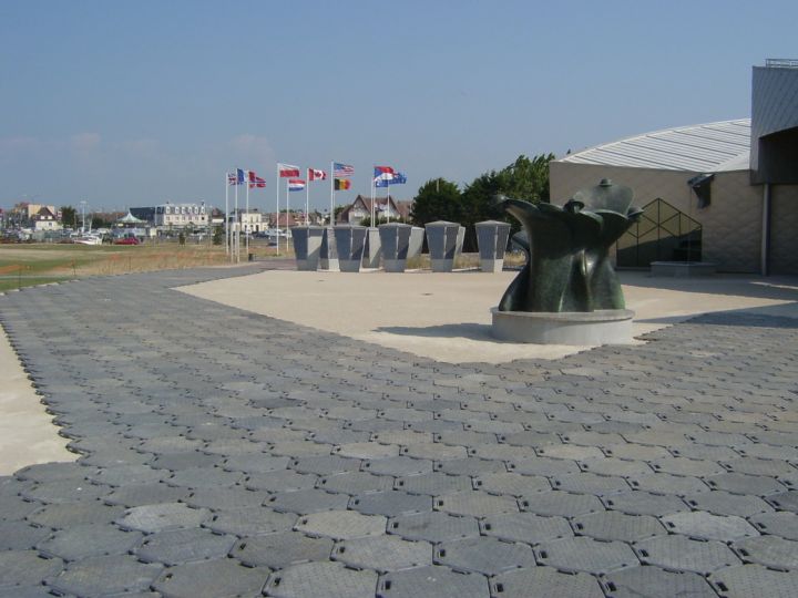 Plaque de protection en plastique hexagonale à Juno Beach | Envhyro